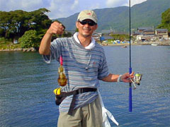 アオリイカの写真